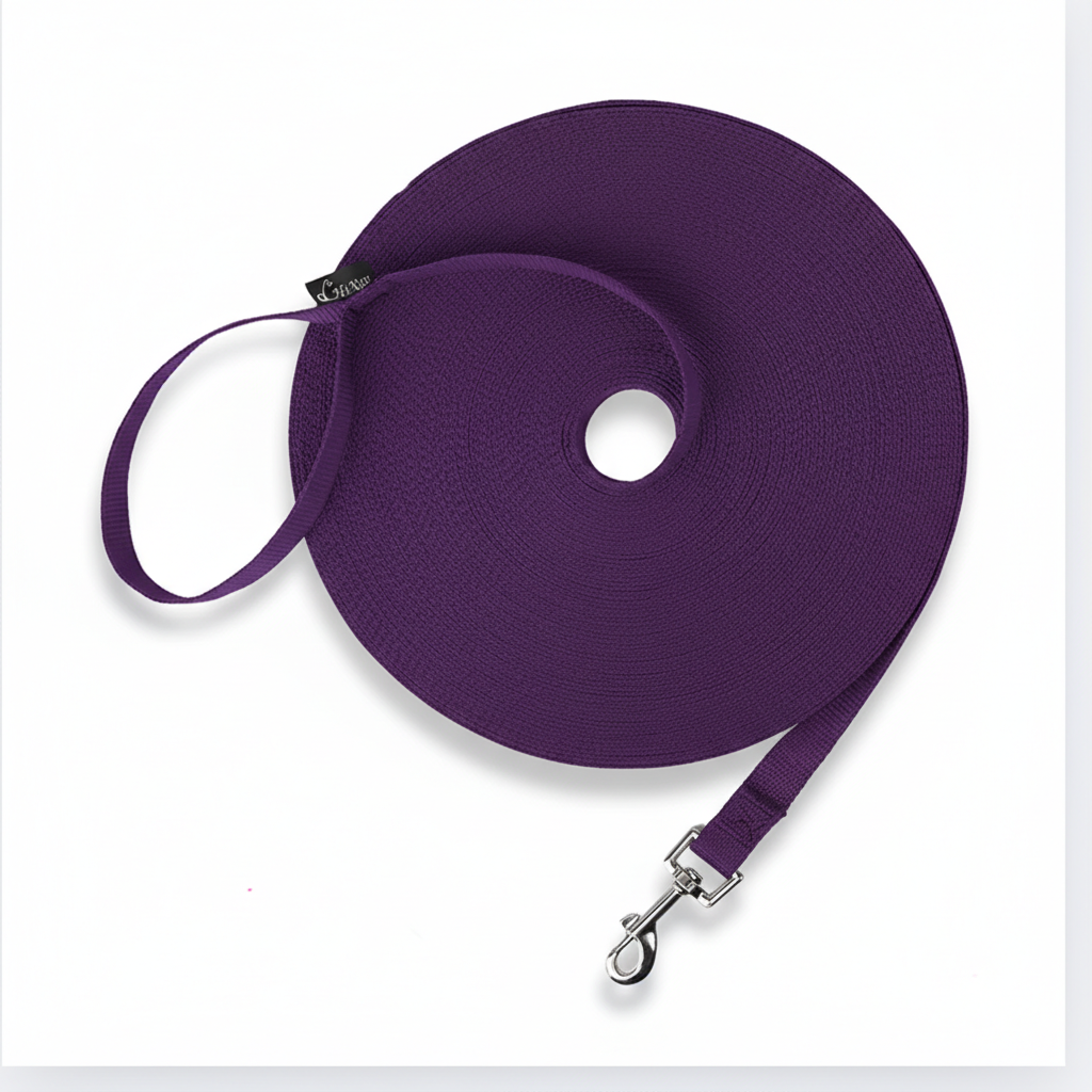 Puppy Obedience & Recall Training Agility Set – Complete Training Kit